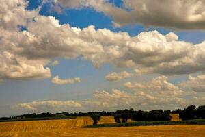 a field with a blue sky and clouds above it photo