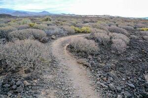 a dirt path in the desert with rocks and bushes photo