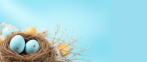 AI generated Easter eggs in a nest on a blue background photo
