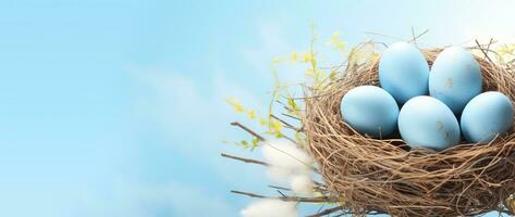 AI generated Easter eggs in a nest on a blue background photo
