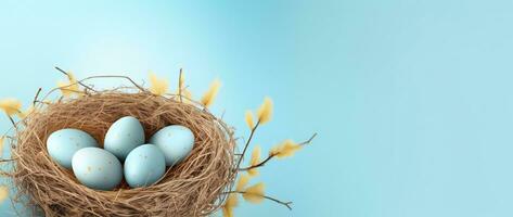 AI generated Easter eggs in a nest on a blue background photo
