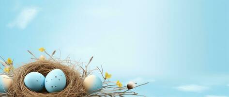 ai generado Pascua de Resurrección huevos en un nido en un azul antecedentes foto