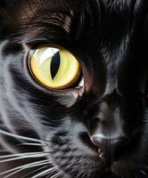 AI generated Close up of cat eye. Generative AI photo