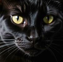 AI generated Close up of cat eye. Generative AI photo