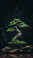 AI generated a bonsai tree in a black ceramic pot against a black vertical background. photo