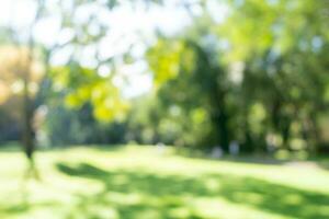 Defocused or blur with bokeh background of garden trees in sunny day photo