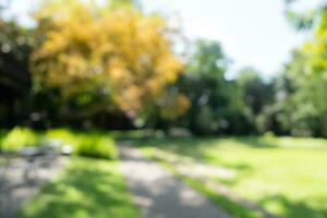 desenfocado o difuminar con bokeh antecedentes de jardín arboles en soleado día foto