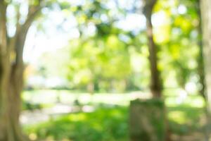 Defocused or blur with bokeh background of garden trees in sunny day photo