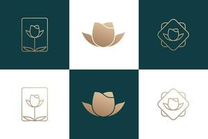 set of beauty flower logo design with template vector