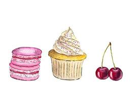 Hand drawn watercolor pastry in a sketch style. Watercolor cupcake, macaron and cherries. vector