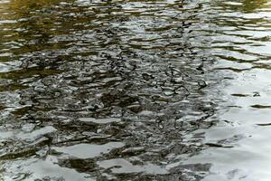 Scenic Urban River Canal with Rippling Water Surface in the City photo