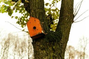 Vibrant Red Birdhouse Hanging from a Lush Tree Branch in the Garden photo