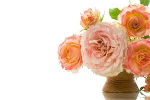 bouquet of beautiful roses isolated on white photo