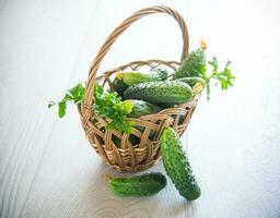 organic cucumbers with herbs on a wooden table photo