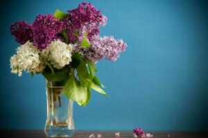 bouquet of different blooming spring lilacs in a vase on blue background photo
