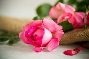 pink beautiful summer roses on wooden table photo