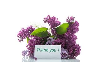 bouquet of different blooming spring lilacs on white background photo