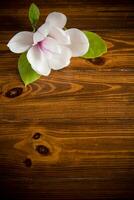 uno rosado flor en un rama de floreciente magnolia en un de madera mesa foto