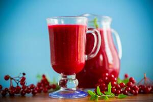 recién exprimido grueso natural jugo con pulpa desde maduro rojo viburnum en un licorera foto