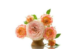 bouquet of beautiful roses isolated on white photo