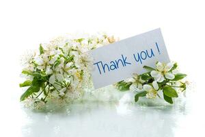 thank you card and blooming spring branch with flowers photo