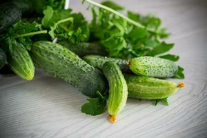 organic cucumbers with herbs on a wooden table photo