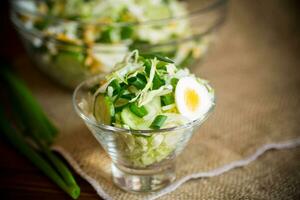 spring salad with early cabbage, cucumbers, eggs and green onions photo