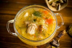 vegetarian vegetable soup with porcini mushrooms in a glass bowl photo