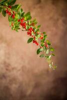 Branch with ripe red goji berry on brown background photo