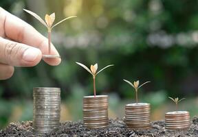 Seed growing on coins stacked investing to grow photo