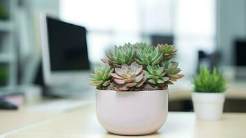 AI generated Flower pot on a office desk, succulent cactus vase, Generative AI photo