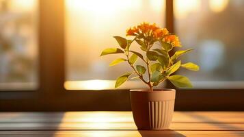 AI generated Flower pot on a office desk, succulent cactus vase, Generative AI photo