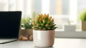 AI generated Flower pot on a office desk, succulent cactus vase, Generative AI photo