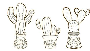 Hand drawn outline cactus set. Cactus plants nature elements cactus outline sketch. cactus drawing. cactus plants line art background. vector