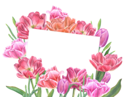 bukett av rosa tulpaner. blommor med grön löv, stjälkar. valentines dag eller födelsedag hälsning kort. vår sammansättning med Plats för text. vattenfärg illustration. för spara de datum, mor dag kort png