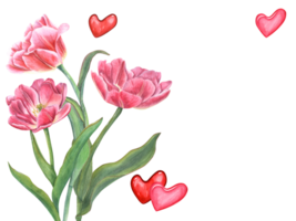 Bouquet of double tulips. Pink, red hearts around flowers. Floral romantic composition with space for text. Green leaves. Watercolor illustration. For Save the date, Valentines day, birthday cards png