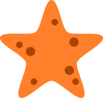 Star fish icon png