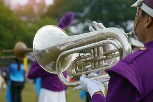 la tuba está hecha de latón y es el instrumento que suena más bajo entre los instrumentos de metal. por lo tanto, actúa como un bajo para hacer que la línea de bajo tenga un sonido más ajustado. foto