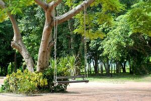 un de madera columpio colgado con un cuerda desde un grande árbol en un sentado zona en el parque. suave y selectivo enfocar. foto