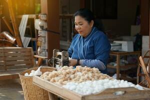 Asian female tourist spins cotton to remove the seeds in a manual cotton gin. at the demonstration point of the community weaving center. Soft and selective focus. photo