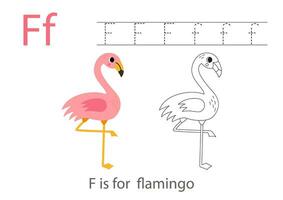 Tracing alphabet letters with cute animals. Color cute flamingo. Trace letter F. vector