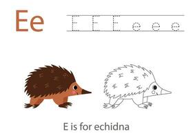 Tracing alphabet letters with cute animals. Color cute echidna. Trace letter E. vector