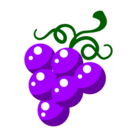 plano estilo púrpura Fruta uvas png