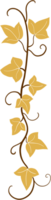 ivy vine illustration png