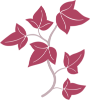 ivy vine illustration png