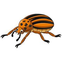 Colorado beetle cartoon on white background vector