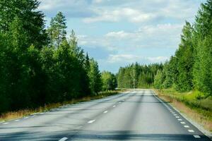 a long empty road in the middle of a forest photo