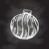 Hand-drawn sketch of Christmas ball isolated on chalkboard, close up of decoration for christmas. Vector vintage drawing. Traditional Cozy Christmas. Object for christmas card, packaging.