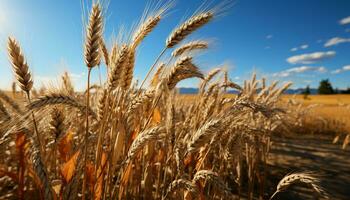 ai generado agricultura dorado cosecha, naturaleza belleza en un trigo prado generado por ai foto