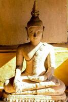 a buddha statue in a temple photo